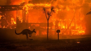 foties australia