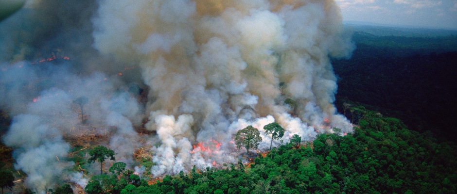 amazonios foties amazonios foties