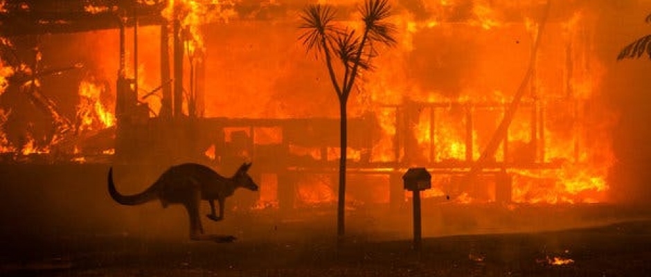 foties australia foties australia