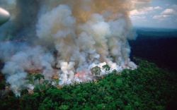 amazonios foties amazonios foties