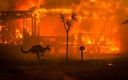foties australia