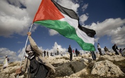 palestine flag