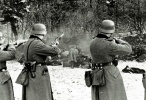 nazi ekteleseis