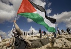 palestine flag